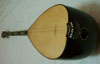 Acoustic saz with fine tuners port